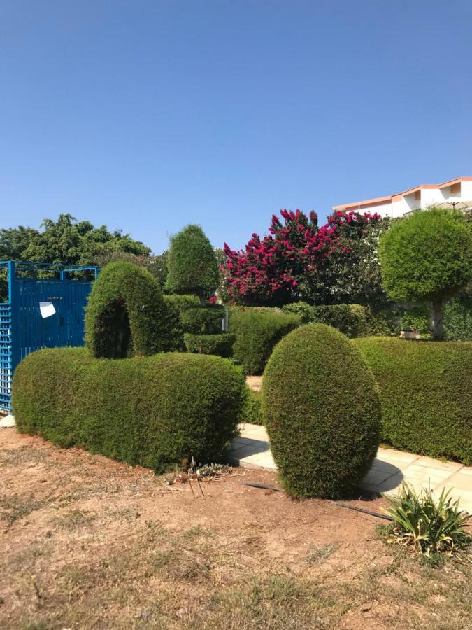2 Bedroom Apartment-Mediterranean Type Paphos Exterior foto